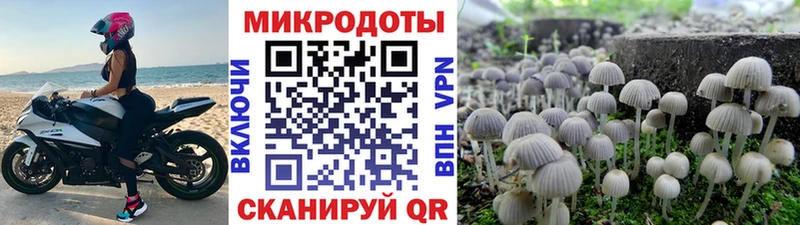 Галлюциногенные грибы GOLDEN TEACHER  где найти   Харабали 